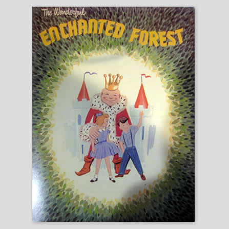 The Wonderful Enchanted Forest Story Book