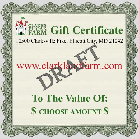 Gift Certificates from Clark's Elioak Farm